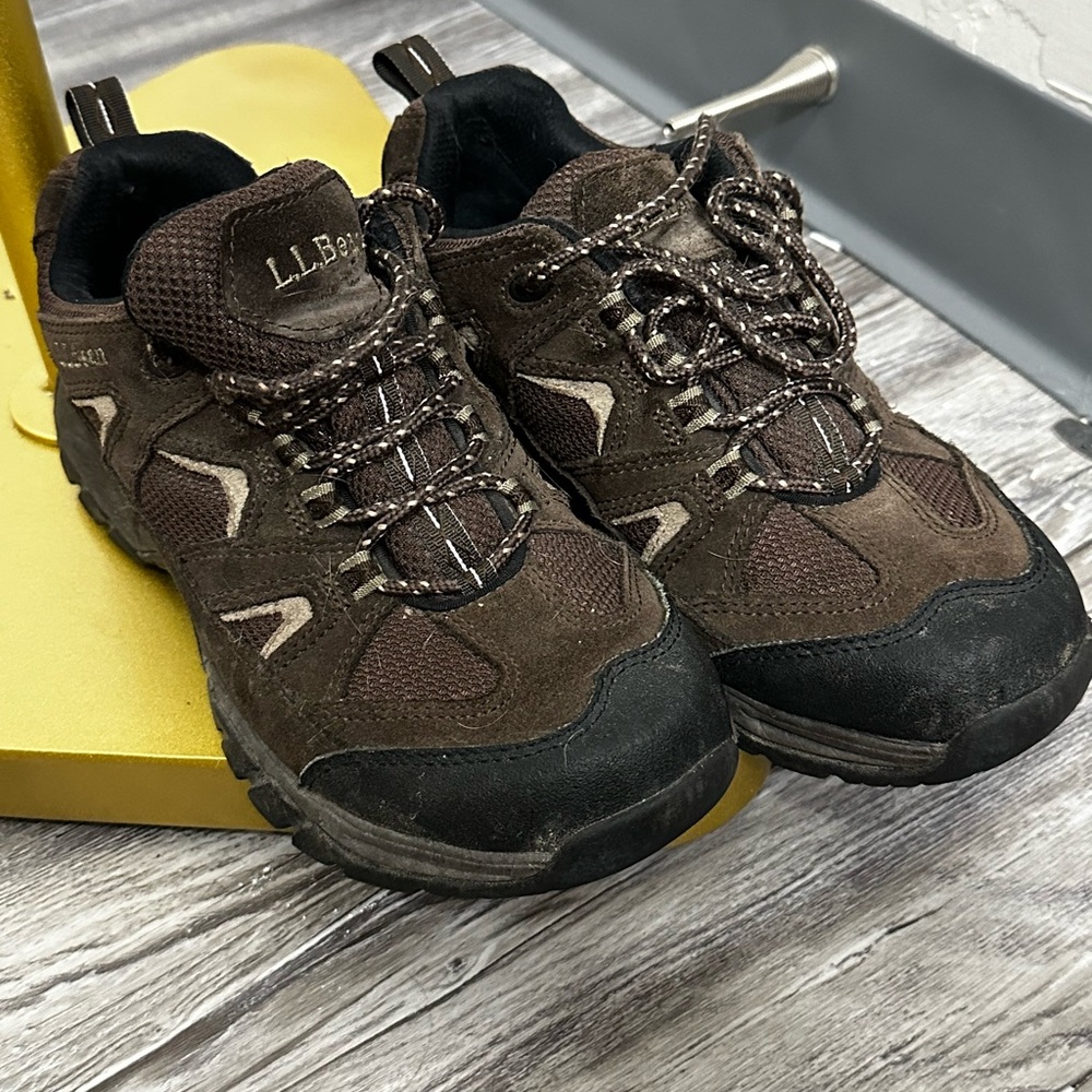 L.L. Bean Men's Brown Hiking Shoes